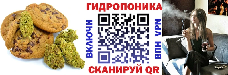 дарнет шоп  кракен как зайти  Еда ТГК конопля  Оленегорск 