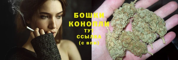 дживик Наволоки