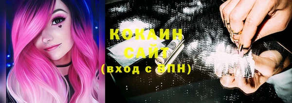 дживик Наволоки